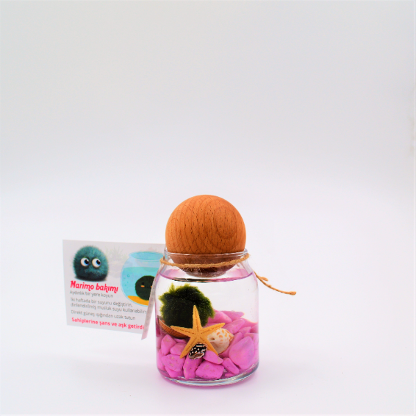  istanbul marimo siparişi Şans Getiren Marimo Pink T